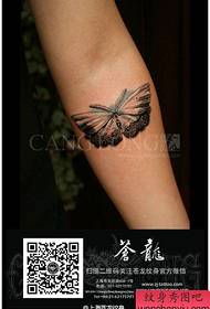 Brazo popular patrón de tatuaje de mariposa de encaje pop