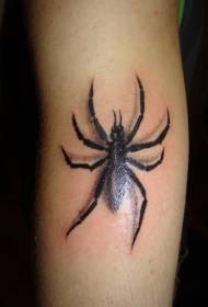 Modello di tatuaggio ragno nero di vitello