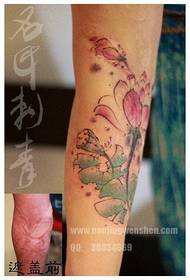 Pols pragtige pop pienk ink lotus tattoo patroon
