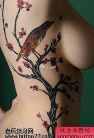 Modello di tatuaggio di prugna gazza bellezza vita laterale