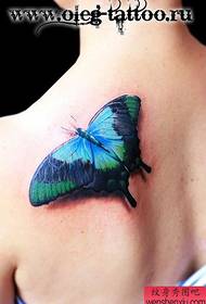 Pragtige skouerkleur pragtige vlinder tatoeëring patroon