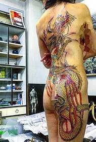 Bellezza indietro con un disegno del tatuaggio del drago