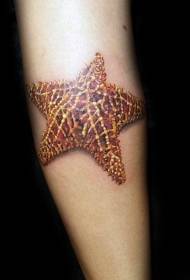 Tatuaggio piccolo animale, modello tatuaggio morbido stella marina