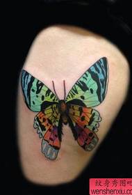 um padrão de tatuagem de borboleta de cor linda e bonita