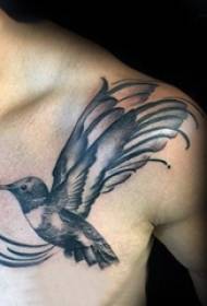 Tetovaža ptica Različiti crni i sivi modeli tetovaža