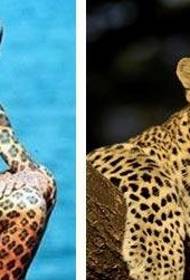 Celotelový leopard tetovanie človek ostrovný život 20 rokov