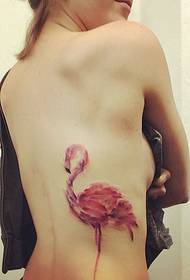 Variety of beautiful bird pattern tattoo pictures