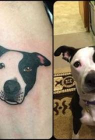 Puppy tattoo tattoo boy shank lori aworan tatuu ti awọ puppy