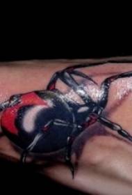 Illustrazione del tatuaggio del ragno 3d modello del tatuaggio del ragno 3d sul collo del piede maschio