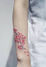 Satu set tato bunga ceri kecil yang segar untuk kanak-kanak perempuan
