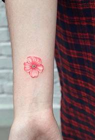 Fiori di ciliegio belli ed eleganti