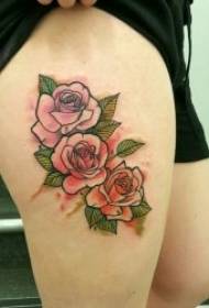 Ілюстрація татуювання троянд Чудова і п'яна троянда візерунок татуювання