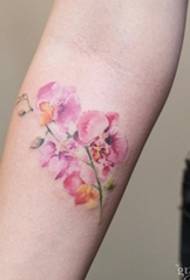 Modello di tatuaggio floreale preferito della ragazza letteraria