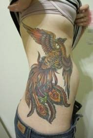 Flickor sid midja målade akvarell kreativ personlighet dominerande Phoenix tatuering bilder