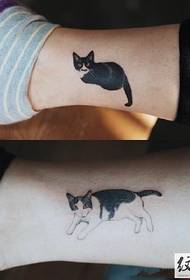 Tato kucing kucing favorit