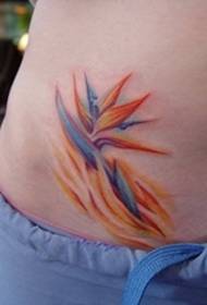 Девојки мала свежа боја за тетоважа птица од рајот цвет тетоважа растение шема на тетоважа