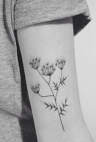 Girls' favorite black small fresh plant tattoo