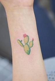 Malgranda freŝa planto tatuaje belan kaktan tatuadon