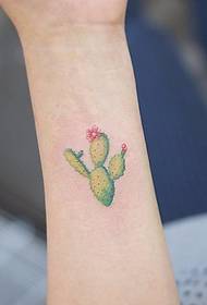 Modello di tatuaggio di cactus di piccole piante fresche tatuaggio carino