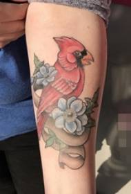 Meitenes roka uz krāsaina dzīvnieku putna tetovējuma attēla