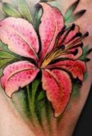 Lilia tatuaje-ŝablono Simboligas la tatuadon de glacia lilio-jado