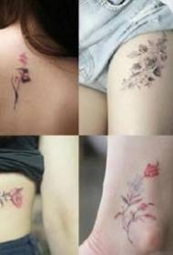 Tattoo მაღაზია ციტირებს ფასი დაახლოებით 200 იუანისთვის გოგონების მცირე სუფთა tattoo ნიმუშის მითითებას