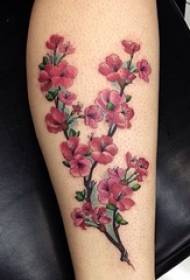 Tyttöjen kiinalainen tyyli luumu kukka tatuointi pieni kukka kasvi pigmentti tatuointi malli