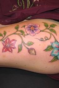 Tatuaggio fiore colorato su piante colorate gambe