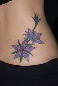 Modello di tatuaggio floreale a stella a cinque punte colorato in vita