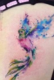 Tytöt rinnassa maalattiin akvarellilla luovia splash-mustetta lintujen tatuointikuvia