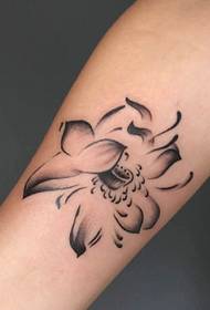Sarja kauniita lotus-tatuointikuvioita tytöille