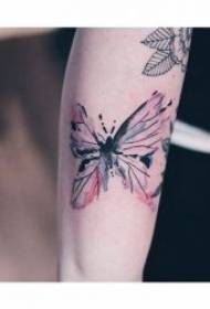 Tattoo Butterfly Pattern 9 Wunderschöne Schmetterlings-Tattoo-Muster für Mädchen
