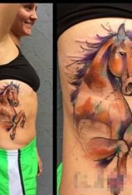 Immagine del tatuaggio del cavallo animale di personalità creativa dell'acquerello dipinto vita laterale della ragazza