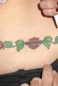 Tatuatge de color rosa de logotip de Harley Davidson amb l'abdomen