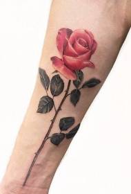 Tatouaj bèl foto
