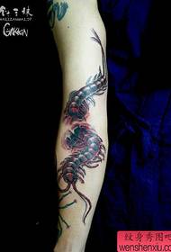 男性手臂超酷的蜈蚣纹身图案