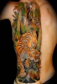 назад боја Јапонски тигар ребра тетоважа шема