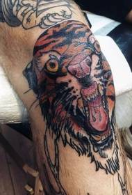 old school farvet tiger tatoveringsmønster på knæet