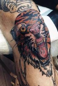 old school colored tiger tattoo pattern on the knee