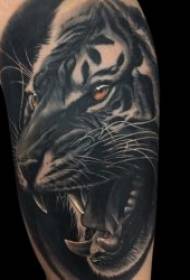 I-tattoo ye-tattoo engu-9 Vibrant Tiger Tatellite