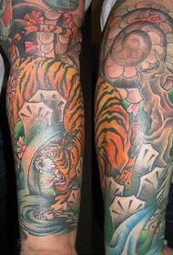 μπράτσο χρώματος κατώτατη τατουάζ σχέδιο τίγρης