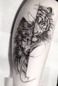 glīts skaistu melnpelēku tīģeru tetovējumu dizainu komplekts