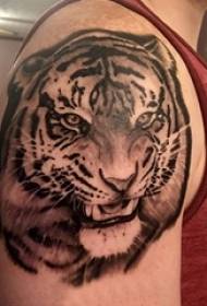 lalaki arm sa itim na linya maliit na larawan hayop hayop tiger tattoo