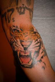 Tigre ruggente e testo ebraico modello di tatuaggio
