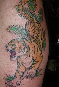 Spalvotas tigro tatuiruotės raštas