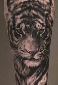 metsa kuninga musta halli tiigri tätoveeringu kujunduse realistlik stiil
