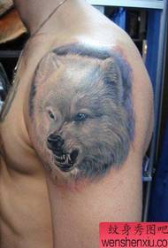 Patrón de tatuaje de cabeza de lobo feroz popular de brazo masculino