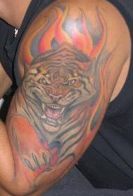 modello di tatuaggio tigre arrabbiato di colore del braccio