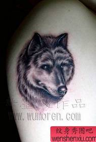 Modello tatuaggio testa di lupo: modello tatuaggio testa di lupo braccio