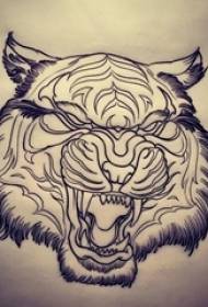 melnas līnijas skices radošais raksts, dominējošais tīģera galvas tetovējuma manuskripts